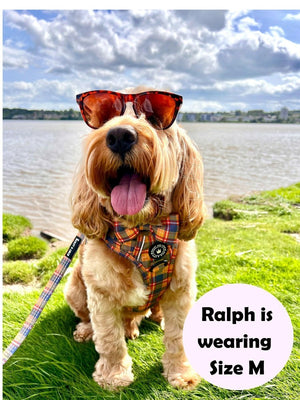 perfect fit harness cockapoo