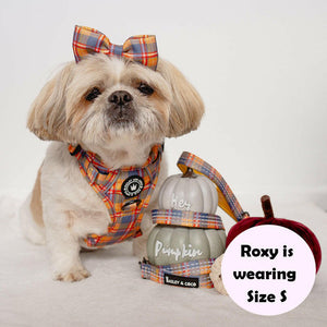 best harness for shih tzu uk