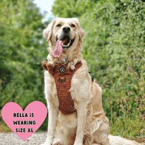best harness for golden retriever uk
