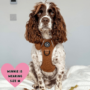 best dog harness for cocker spaniel