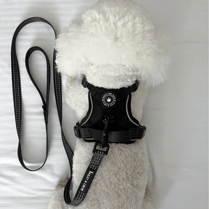 Trail & Glow® Dog Harness - The Jet Black One - Bailey and Coco (UK)