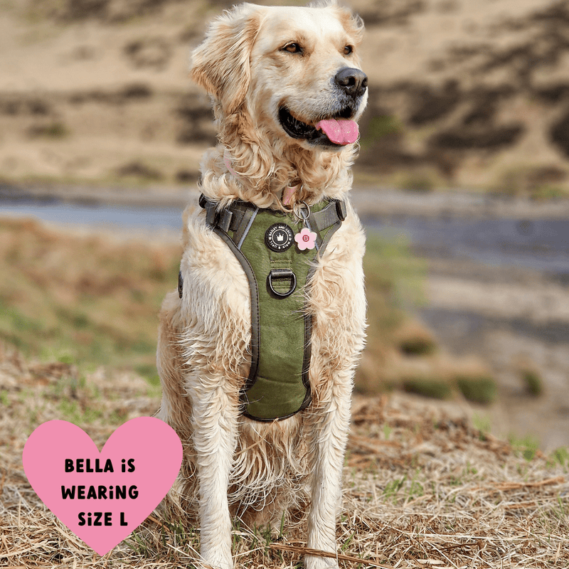 Trail & Glow® Dog Harness - The Khaki One - Bailey and Coco (UK)