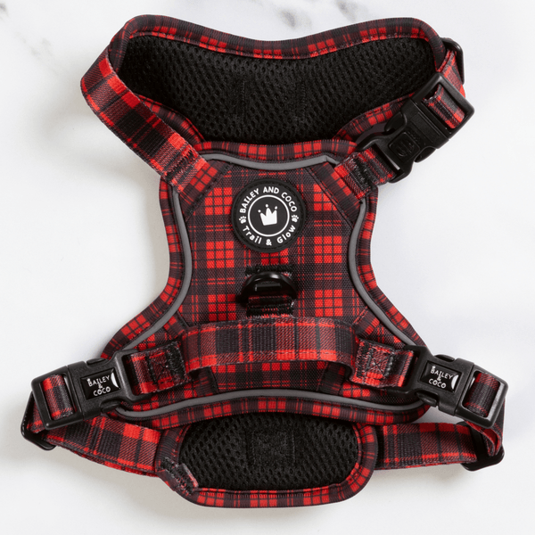 Red Tartan Adjustable Dog Harness, Lead, Collar & Dog Walking Bag Bundle - alternate view