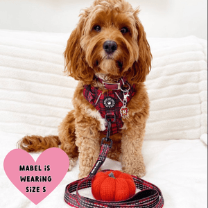 Trail & Glow® Dog Harness - The Red Tartan One - Bailey and Coco (UK)
