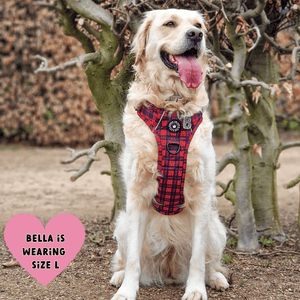 Trail & Glow® Dog Harness - The Red Tartan One - Bailey and Coco (UK)