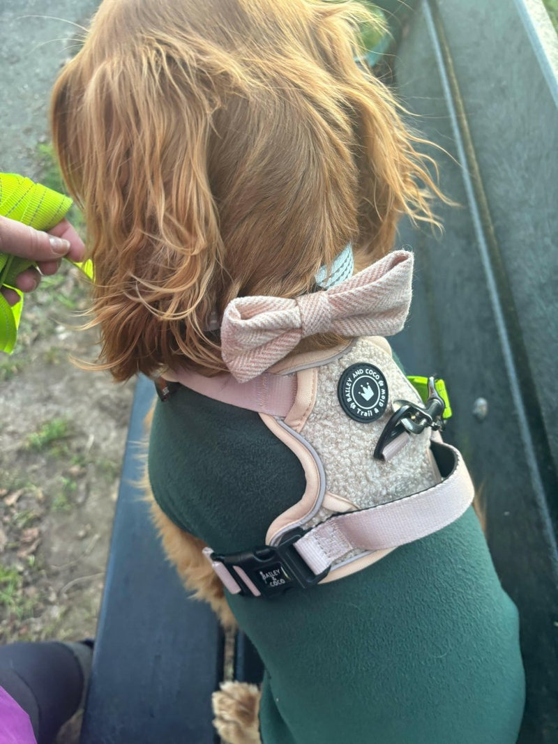 Trail & Glow® Dog Harness - Vanilla Teddy - Bailey and Coco (UK)