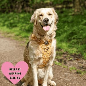 Trail & Glow® Dog Harness - Wanna - Bee - Bailey and Coco (UK)