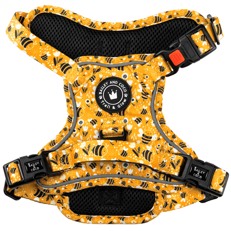 Trail & Glow® Dog Harness - Wanna - Bee - Bailey and Coco (UK)