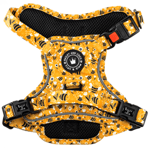 Trail & Glow® Dog Harness - Wanna - Bee - Bailey and Coco (UK)