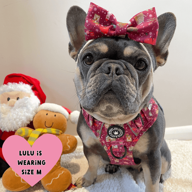 Trail & Glow® Dog Harness - Winter Wonderland - Bailey and Coco (UK)