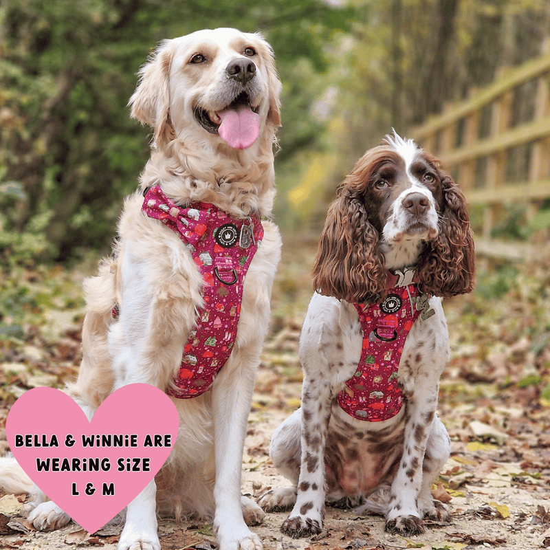 Trail & Glow® Dog Harness - Winter Wonderland - Bailey and Coco (UK)
