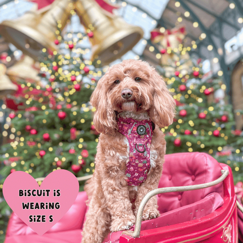 Trail & Glow® Dog Harness - Winter Wonderland - Bailey and Coco (UK)