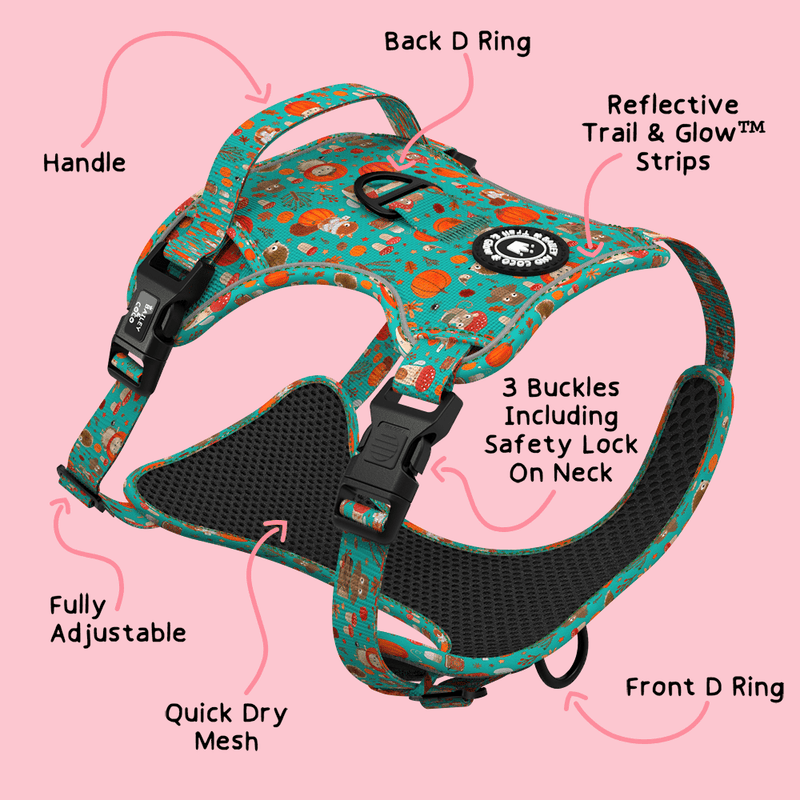 Trail & Glow® Dog Harness - Woodland Magic - Bailey and Coco (UK)