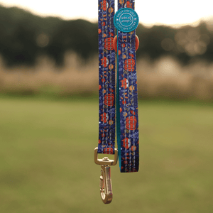 Trail & Glow® Dog Lead 5ft - COLOUR DROPS® - Bewitched - Bailey and Coco (UK)