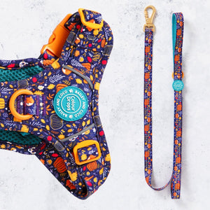 Trail & Glow® Dog Lead 5ft - COLOUR DROPS® - Bewitched - Bailey and Coco (UK)