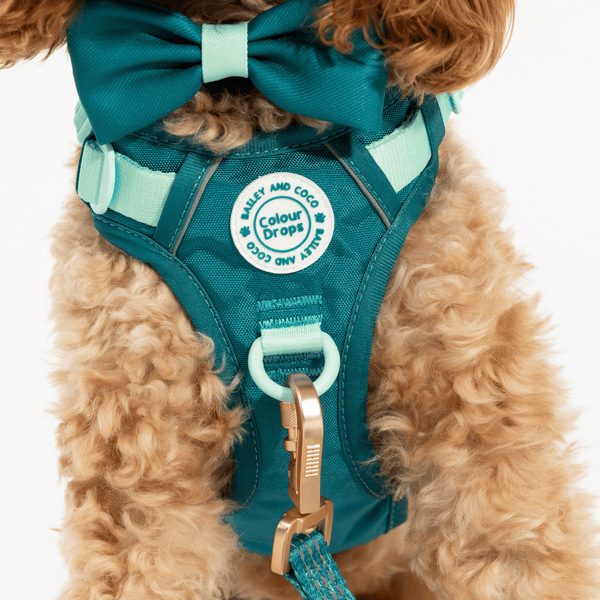 Trail & Glow® Dog Lead 5ft - COLOUR DROPS® - Ice Teal - alternate view