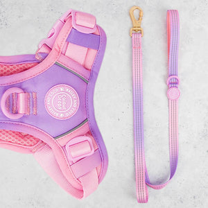 Trail & Glow® Dog Lead 5ft - COLOUR DROPS® - Love that for you - Bailey and Coco (UK)