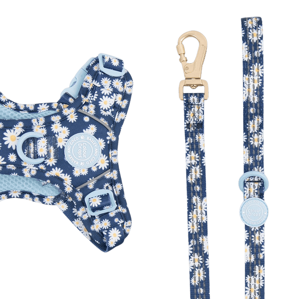 Trail & Glow Dog Lead 5ft - Colour Drops - Loves me, Loves me not - Bailey and Coco (UK)