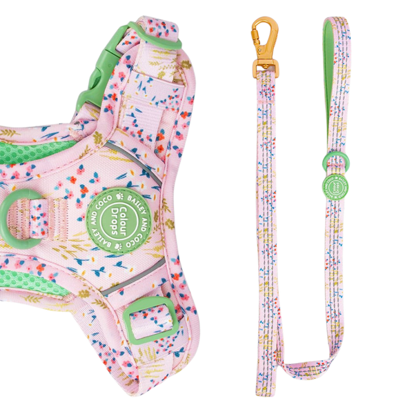 Trail & Glow® Dog Lead 5ft - COLOUR DROPS® - Pick Me - Bailey and Coco (UK)