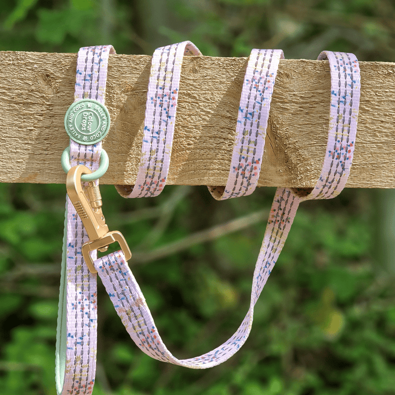 Trail & Glow® Dog Lead 5ft - COLOUR DROPS® - Pick Me - Bailey and Coco (UK)