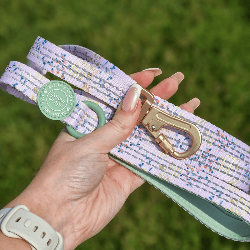 Trail & Glow® Dog Lead 5ft - COLOUR DROPS® - Pick Me - Bailey and Coco (UK)