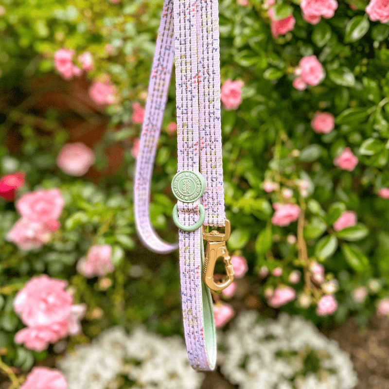 Trail & Glow® Dog Lead 5ft - COLOUR DROPS® - Pick Me - Bailey and Coco (UK)