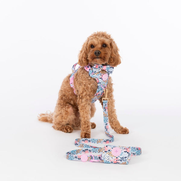 Trail & Glow Dog Lead 5ft - Colour Drops - Spring Dreams - alternate view