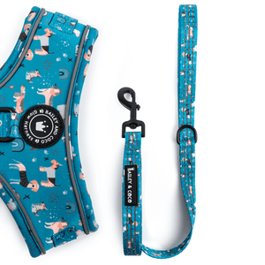 Trail & Glow® Fabric Dog Lead 5ft - A Dog's Tail