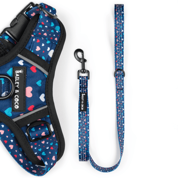 Trail & Glow® Fabric Dog Lead 5ft - All You Need Is Love - Bailey and Coco (UK)