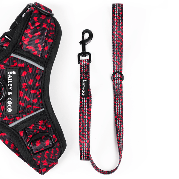 Trail & Glow® Fabric Dog Lead 5ft - Dark Romance - Bailey and Coco (UK)