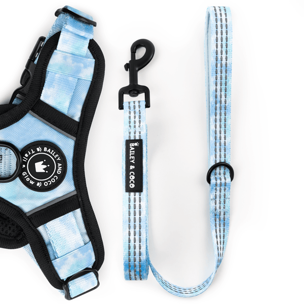 Trail & Glow® Fabric Dog Lead 5ft - Ocean Breeze - Bailey and Coco (UK)