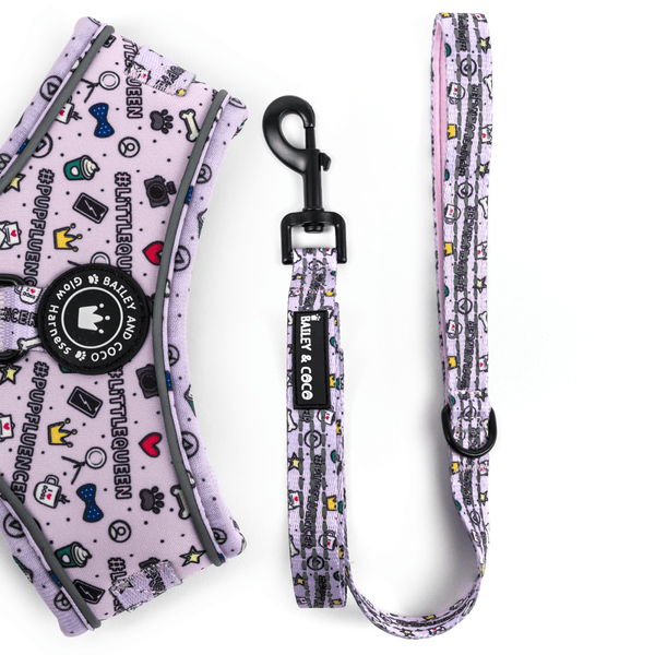 Trail & Glow® Fabric Dog Lead 5ft - Pupfluencer Little Queen - Bailey and Coco (UK)