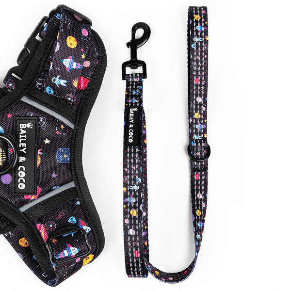 Trail & Glow® Fabric Dog Lead 5ft - Space Paws - Bailey and Coco (UK)