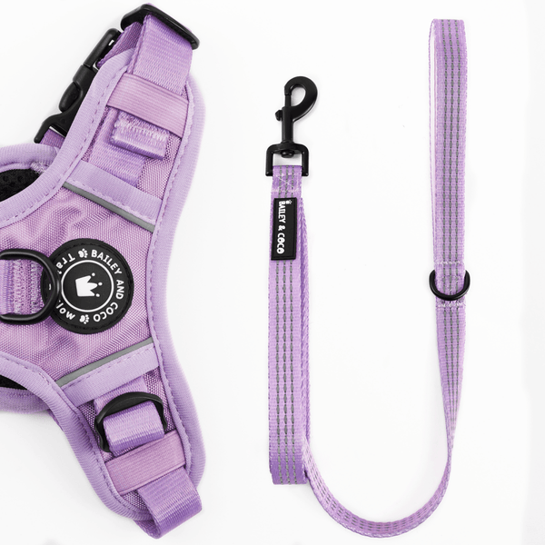 Trail & Glow® Fabric Dog Lead 5ft - The Lilac One - Bailey and Coco (UK)