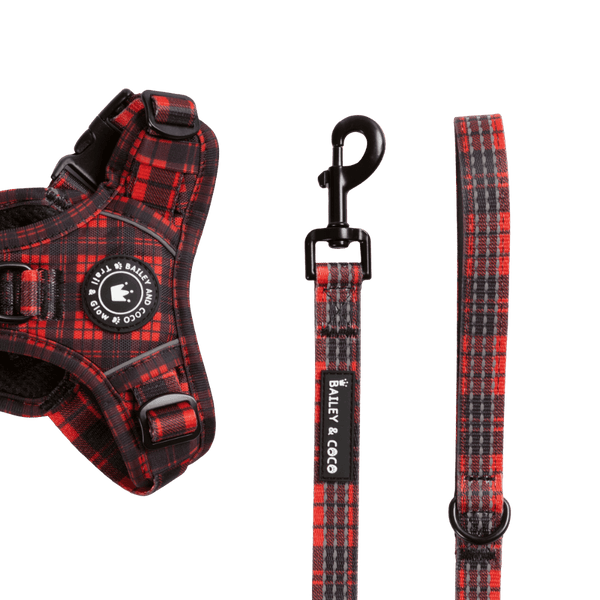 Trail & Glow® Fabric Dog Lead 5ft - The Red Tartan One - Bailey and Coco (UK)