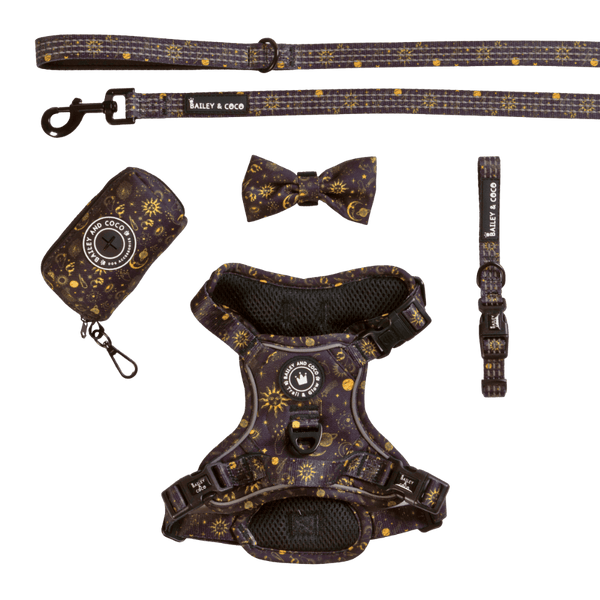 Trail & Glow® Harness Bundle Set - Celestial - Bailey and Coco (UK)