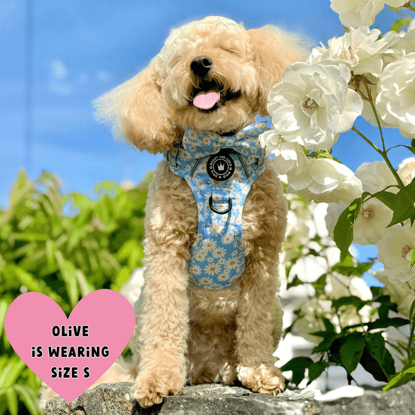Trail & Glow® Harness Bundle Set - Loves me more - alternate view