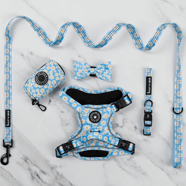 Trail & Glow® Harness Bundle Set - Loves me more - Bailey and Coco (UK)