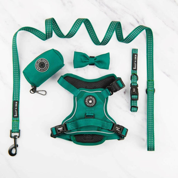 Trail & Glow® Harness Bundle Set - The Emerald Green One - Bailey and Coco (UK)