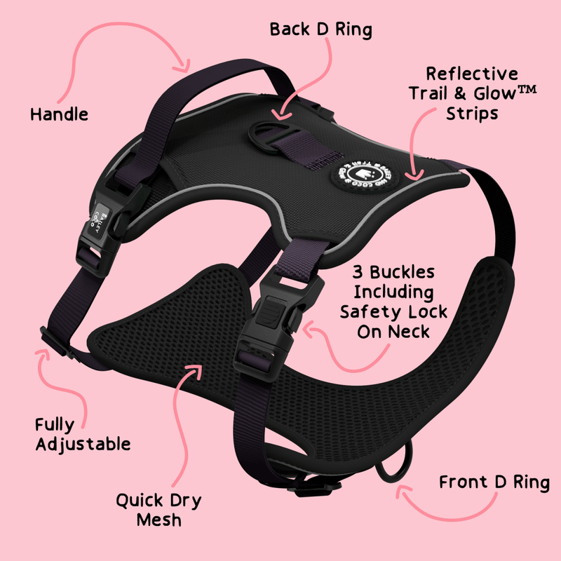 Trail & Glow® Harness Bundle Set - The Jet Black One - Bailey and Coco (UK)