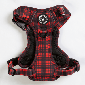 Trail & Glow® Harness Bundle Set - The Red Tartan One - Bailey and Coco (UK)