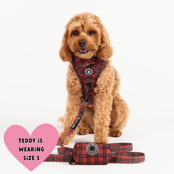 Trail & Glow® Fabric Dog Lead 5ft - The Red Tartan One - alternate view