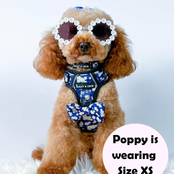 Trail & Glow® Harness – Loves Me, Loves Me Not Daisy - alternate view
