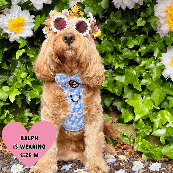 Trail & Glow® Harness – Loves me more - alternate view