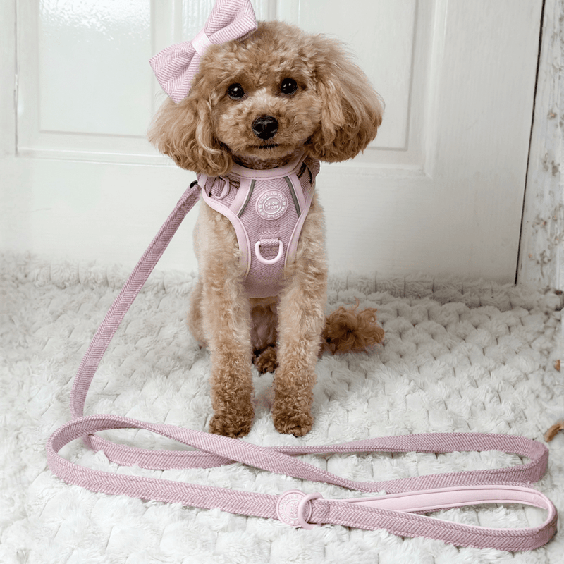 Trail & Glow Lightweight Mini Dog Lead 5ft - Colour Drops - Lavender Tweed - Bailey and Coco (UK)