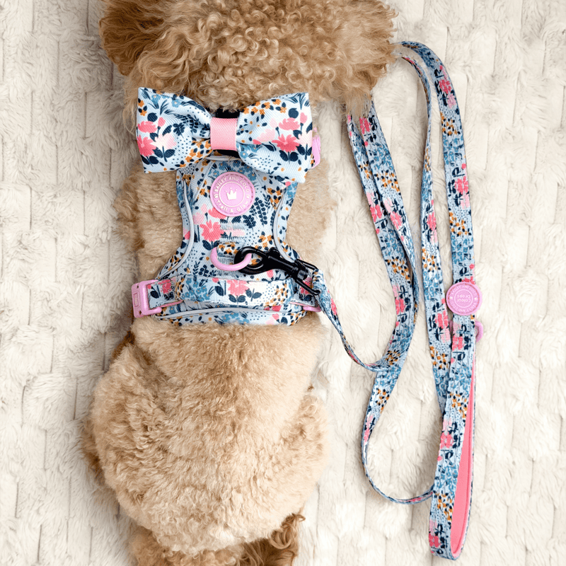 Trail & Glow Lightweight Mini Dog Lead 5ft - Colour Drops - Spring Dreams - Bailey and Coco (UK)