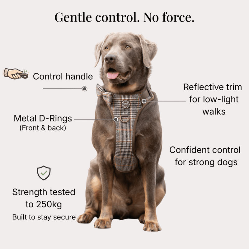 Trail & Glow Tweed Dog Harness - Colour Drops - Heritage Plaid - Bailey and Coco (UK)