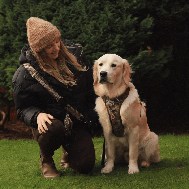 Trail & Glow Tweed Dog Harness - Colour Drops - Heritage Plaid - Bailey and Coco (UK)