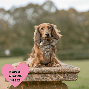 Trail & Glow Tweed Dog Harness - Colour Drops - Heritage Plaid - Bailey and Coco (UK)