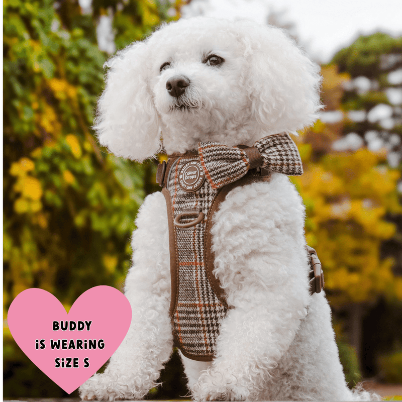 Trail & Glow Tweed Dog Harness - Colour Drops - Heritage Plaid - Bailey and Coco (UK)